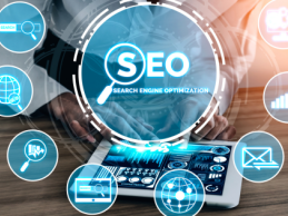 SEO and Link Building Subscriptions