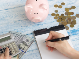 Subscription Budget
